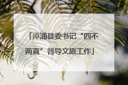 漳浦县委书记“四不两直”督导文旅工作