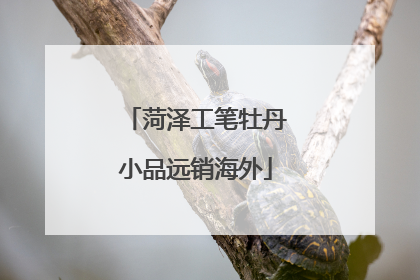 菏泽工笔牡丹小品远销海外
