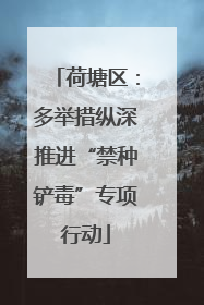 荷塘区：多举措纵深推进“禁种铲毒”专项行动