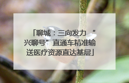 聊城：三向发力 “兴聊号”直通车精准输送医疗资源直达基层