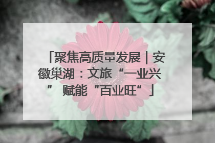聚焦高质量发展｜安徽巢湖：文旅“一业兴” 赋能“百业旺”