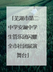 芜湖市第二中学安澜中学生管乐团闪耀全市社团展演舞台