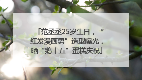 范丞丞25岁生日，“红发漫画男”造型曝光，晒“鹅十五”蛋糕庆祝