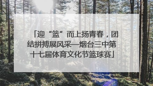 迎“篮”而上扬青春，团结拼搏展风采—烟台三中第十七届体育文化节篮球赛