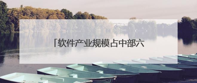 软件产业规模占中部六省总量逾半 湖北“软实力”引来杭州两小龙