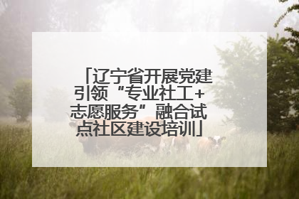 辽宁省开展党建引领“专业社工+志愿服务”融合试点社区建设培训