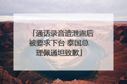 通话录音遭泄露后被要求下台 泰国总理佩通坦致歉