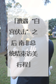 遭遇“白宫伏击”之后 南非总统结束访美行程
