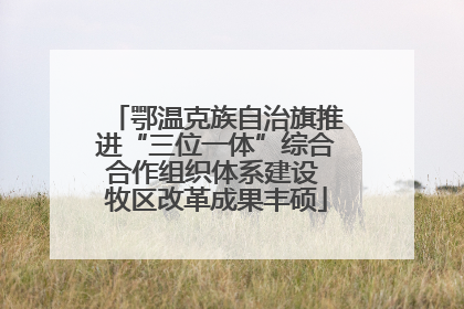 鄂温克族自治旗推进“三位一体”综合合作组织体系建设 牧区改革成果丰硕