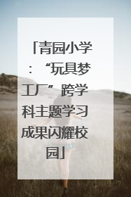 青园小学：“玩具梦工厂”跨学科主题学习成果闪耀校园
