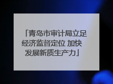 青岛市审计局立足经济监督定位 加快发展新质生产力