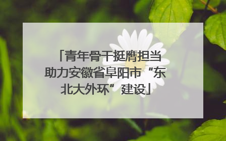 青年骨干挺膺担当 助力安徽省阜阳市“东北大外环”建设