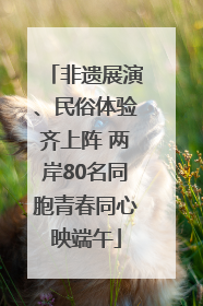 非遗展演、民俗体验齐上阵 两岸80名同胞青春同心映端午