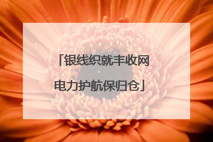 银线织就丰收网 电力护航保归仓
