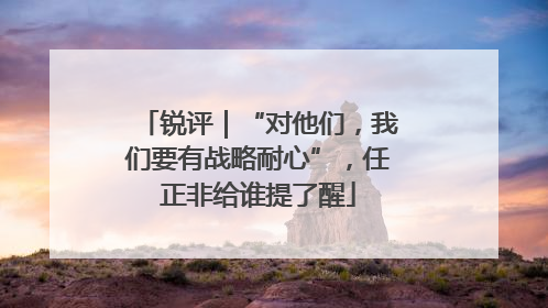锐评｜“对他们，我们要有战略耐心”，任正非给谁提了醒