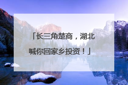 长三角楚商，湖北喊你回家乡投资！