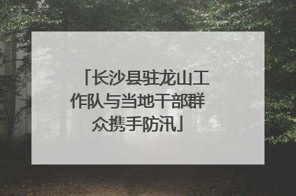 长沙县驻龙山工作队与当地干部群众携手防汛