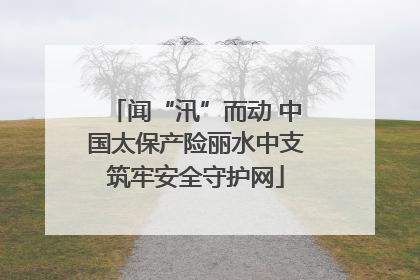 闻“汛”而动 中国太保产险丽水中支筑牢安全守护网