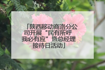 陕西移动商洛分公司开展“民有所呼 我必有应”暨总经理接待日活动