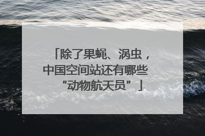 除了果蝇、涡虫，中国空间站还有哪些“动物航天员”