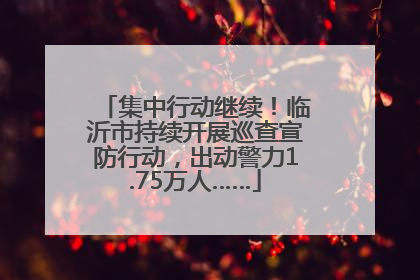 集中行动继续！临沂市持续开展巡查宣防行动，出动警力1.75万人……