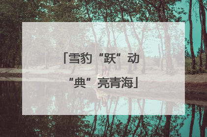 雪豹“跃”动 “典”亮青海