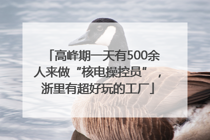 高峰期一天有500余人来做“核电操控员”，浙里有超好玩的工厂