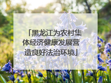 黑龙江为农村集体经济健康发展营造良好法治环境
