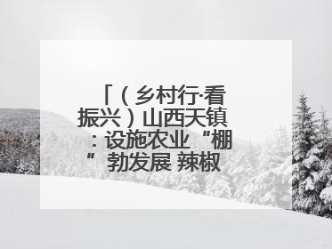 （乡村行·看振兴）山西天镇：设施农业“棚”勃发展 辣椒产业蓄势待发