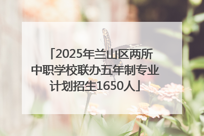2025年兰山区两所中职学校联办五年制专业计划招生1650人
