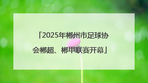 2025年郴州市足球协会郴超、郴甲联赛开幕