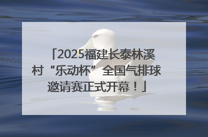2025福建长泰林溪村“乐动杯”全国气排球邀请赛正式开幕！