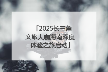 2025长三角文旅大咖海南深度体验之旅启动