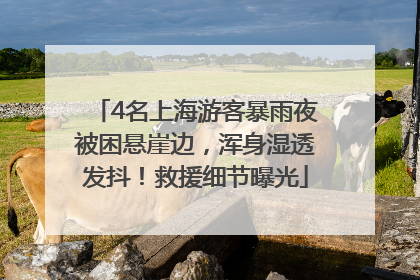 4名上海游客暴雨夜被困悬崖边，浑身湿透发抖！救援细节曝光