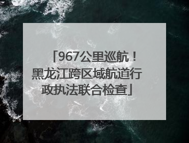 967公里巡航！黑龙江跨区域航道行政执法联合检查