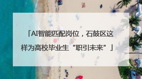 AI智能匹配岗位，石鼓区这样为高校毕业生“职引未来”